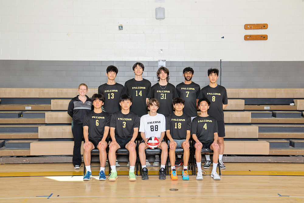 boys volleyball team picture