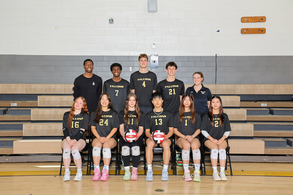 coed volleyball team picture