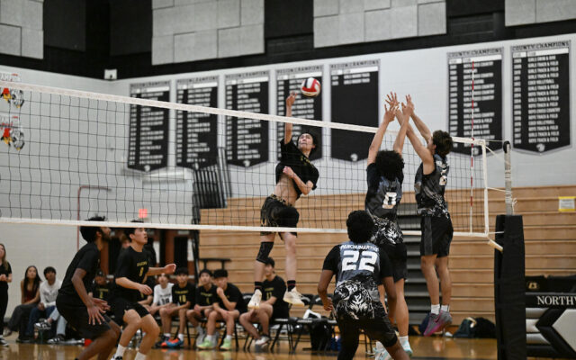 PoolesvilleBoysVB32726_BL-234