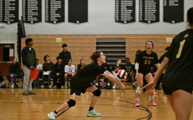 PoolesvilleCoedVB32726_BL-161