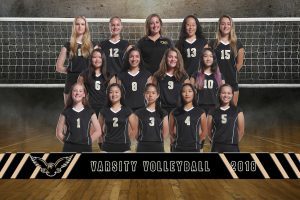 girls varsity volleyball 2018