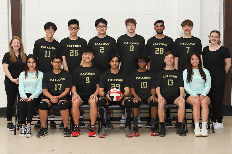 boys volleyball team picture