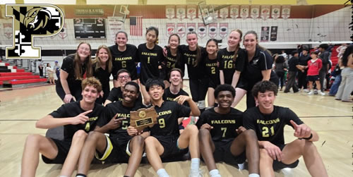 coed volleyball team photo