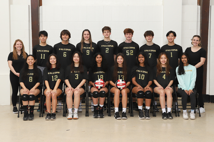 coed volleyball team picture