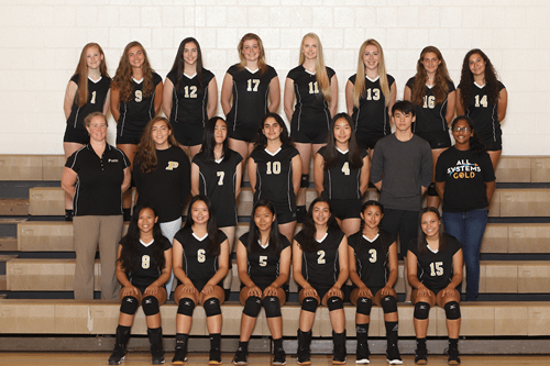 girls varsity volleyball 2019