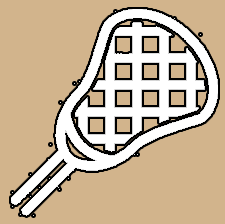 an image of a lacrosse stick