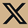 X (formerly twitter) logo