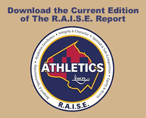 download the current edition of the RAISE report